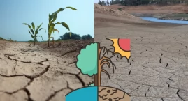 Prognoza pogody na lato 2025.  Temperatury i opady deszczu od maja do sierpnia