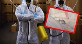 Epidemia szczurzej gorączki w Sarajewie. Rośnie liczba zachorowań