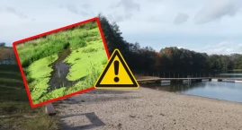 Zamknięte kąpielisko w Kościerzynie. GIS ostrzega przed sinicami
