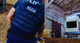 Policja rozbiła nielegalną fabrykę tytoniu w Kaliszu…