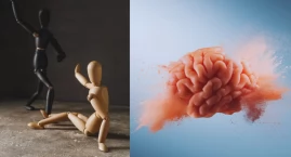 Jak reaguje mózg na zastraszanie? Wyniki badań opublikowane w „JNeurosci”