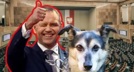 Sejm przyjął ustawę łańcuchową. Zakaz uwiązywania ps&hellip;