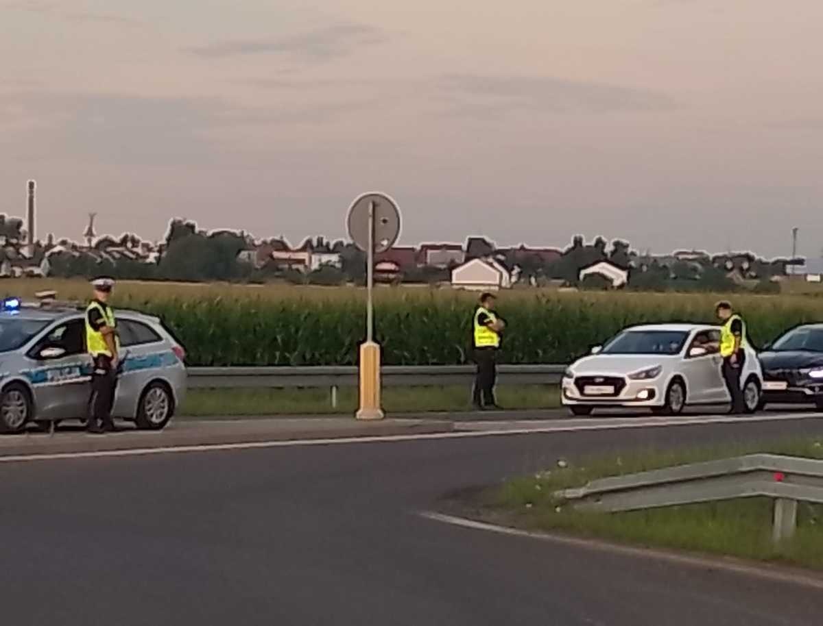 Pięcioro z promilami