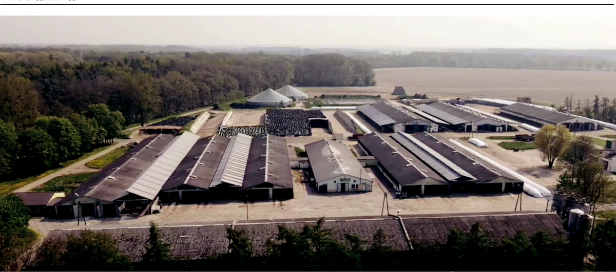 Brak decyzji w sprawie Top Farms