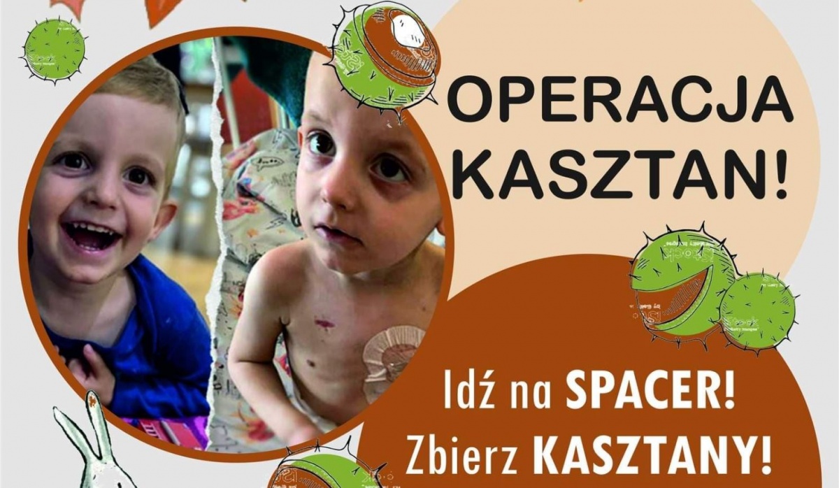 Operacja kasztan! Zbiórka kasztanów dla Wiktora!