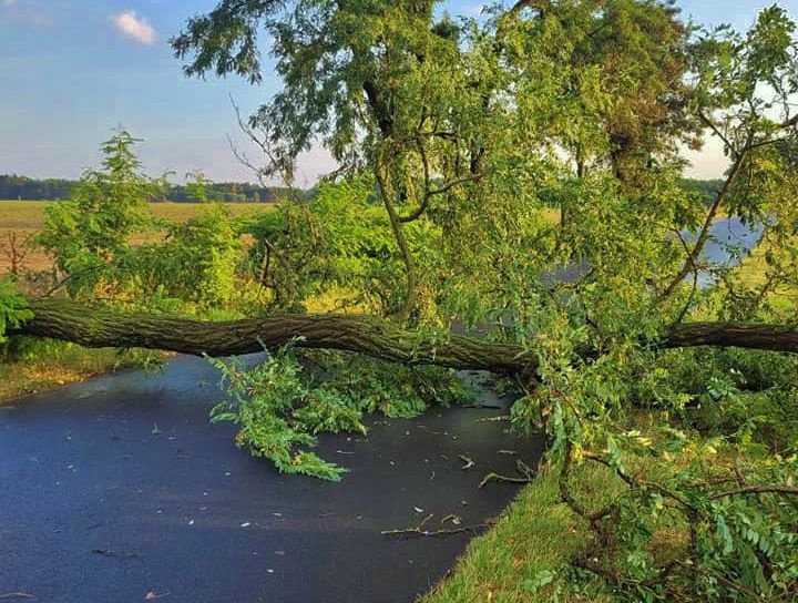 Zerwane dachy i połamane drzewa. Skutki chwilowego załamania pogody