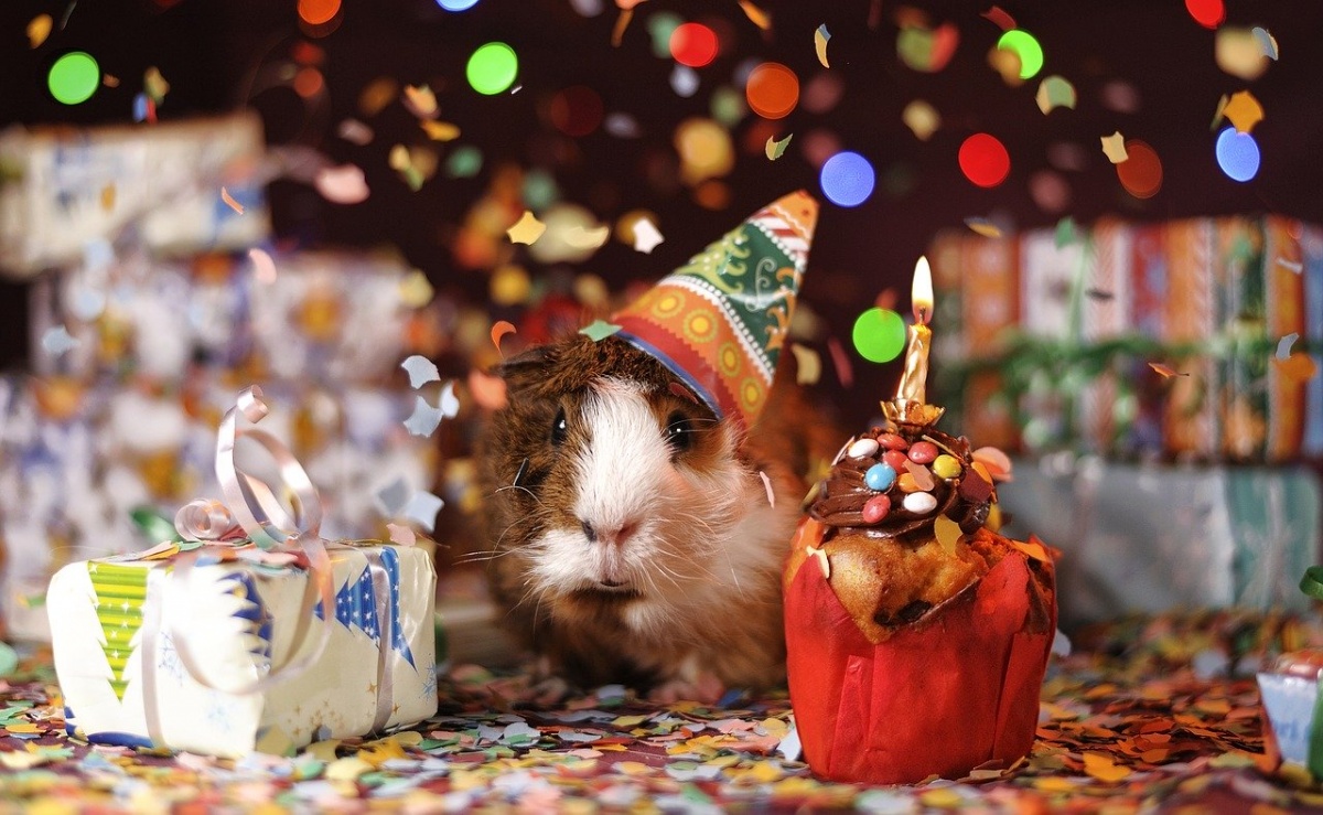 eKościan ma już 5 lat!