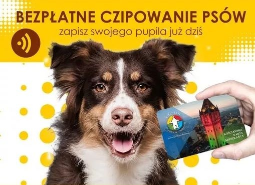 Bezpłatne czipowanie psów