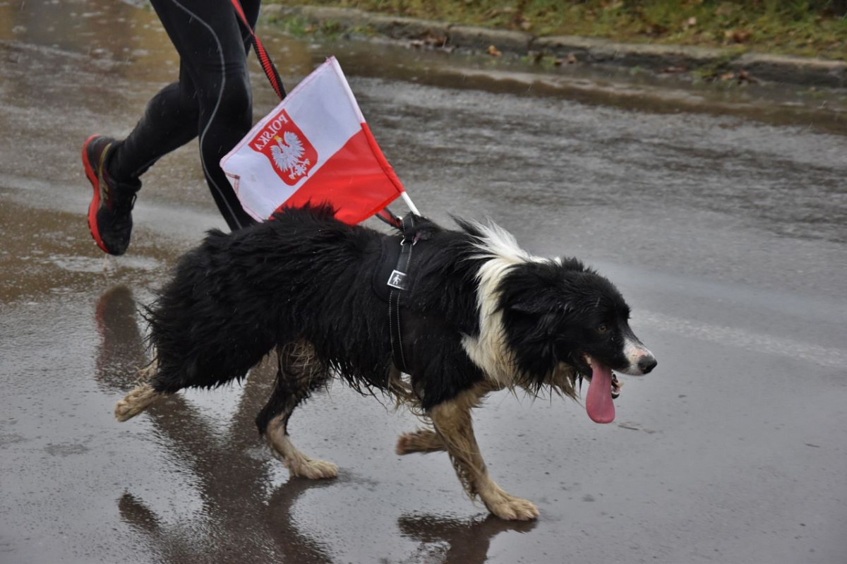 Utrudnienia w ruchu w niedzielę w Krzywiniu!