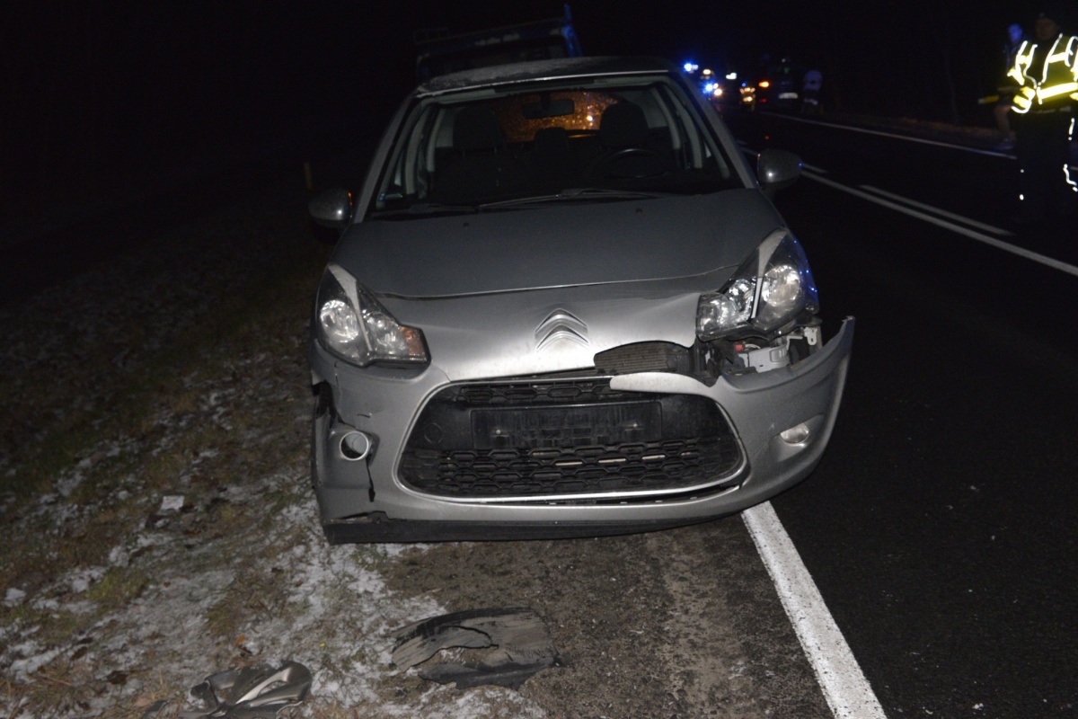 Dwie kolizje z powodu zwierząt na trasie Kościan - Racot
