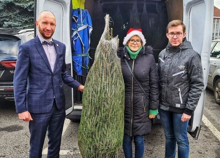 Choinki na Boże Narodzenie dla seniorów!