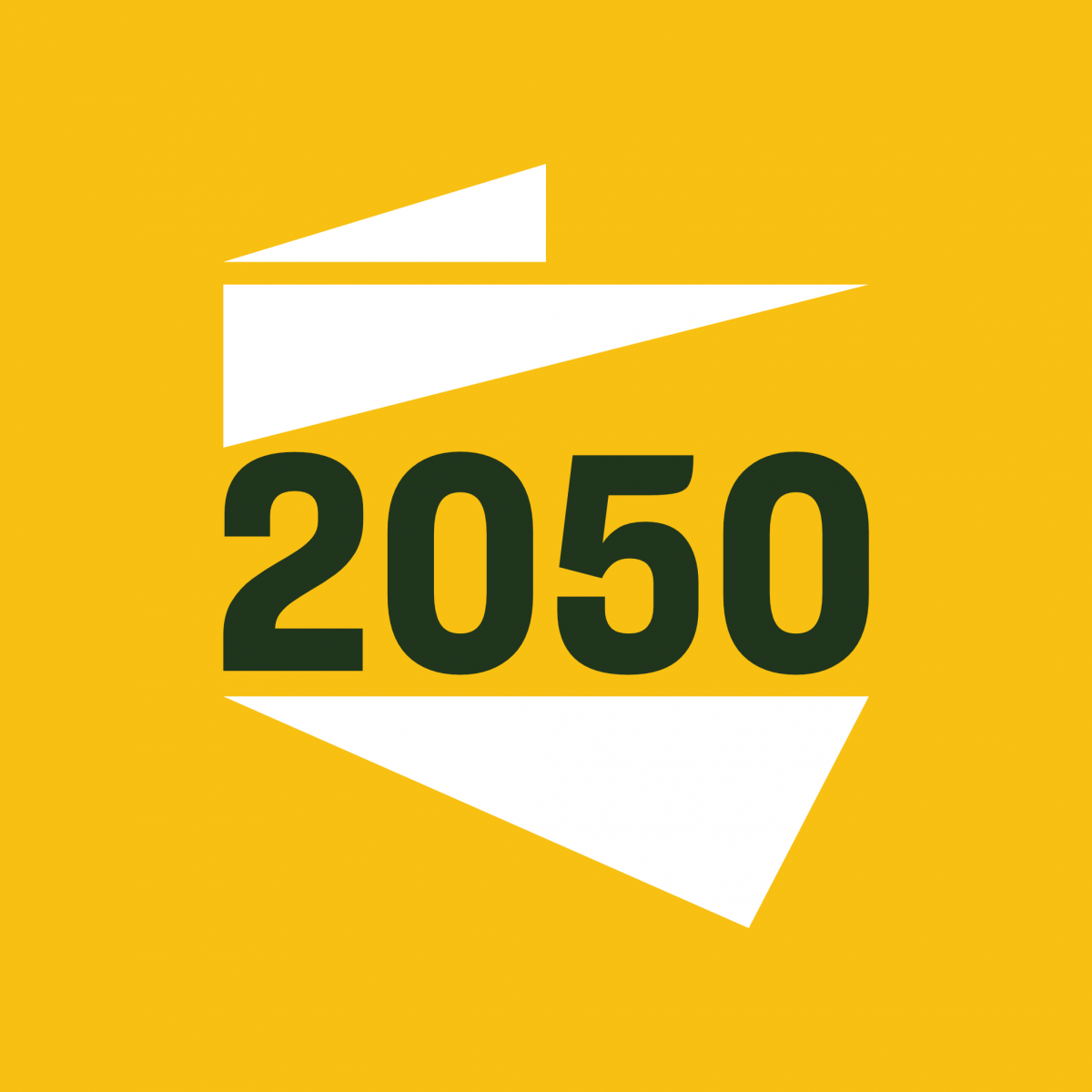 Polska 2050 Hołowni czy... Zydorczaka z Kościana?