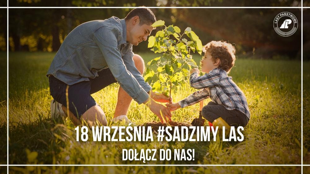 #sadziMY 2020. Nadleśnictwo Kościan rozdaje drzewka!