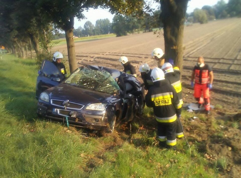 Wjechał w drzewo. Kierowca trafił do szpitala!