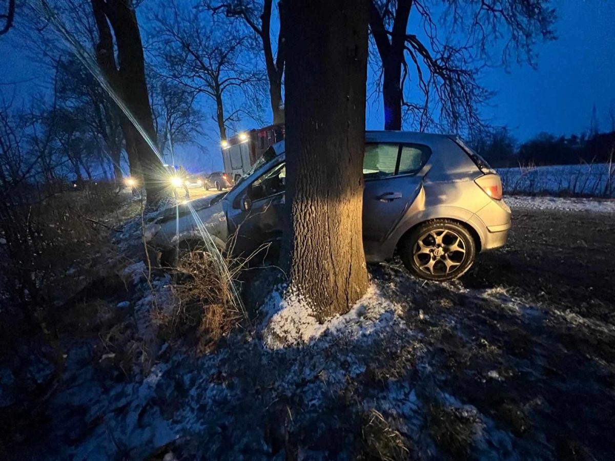 Wjechała w drzewo