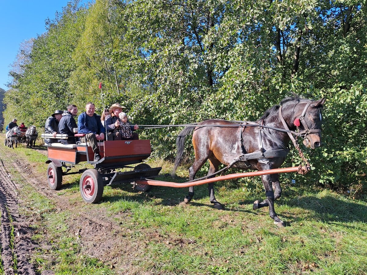 Hubertus w Żegrówku [ZDJĘCIA]