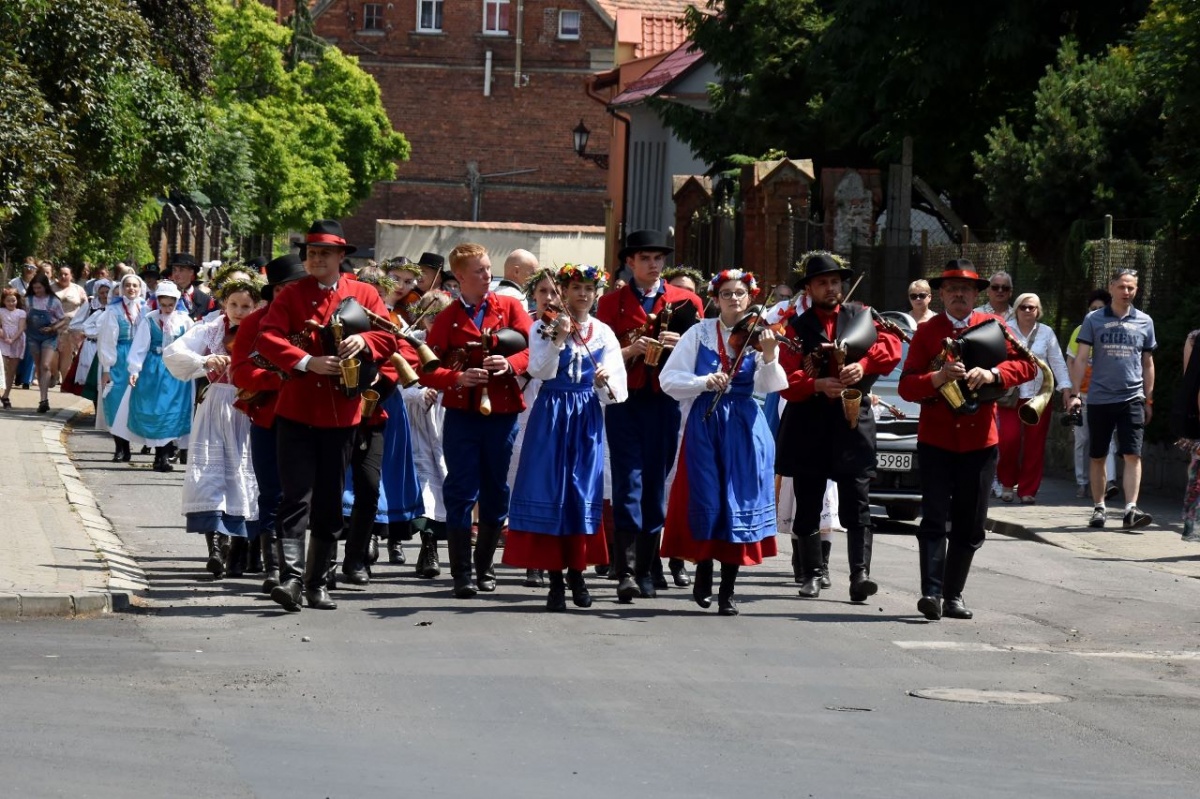 Ignysiowy Laur w gminie Śmigiel [ZDJĘCIA]