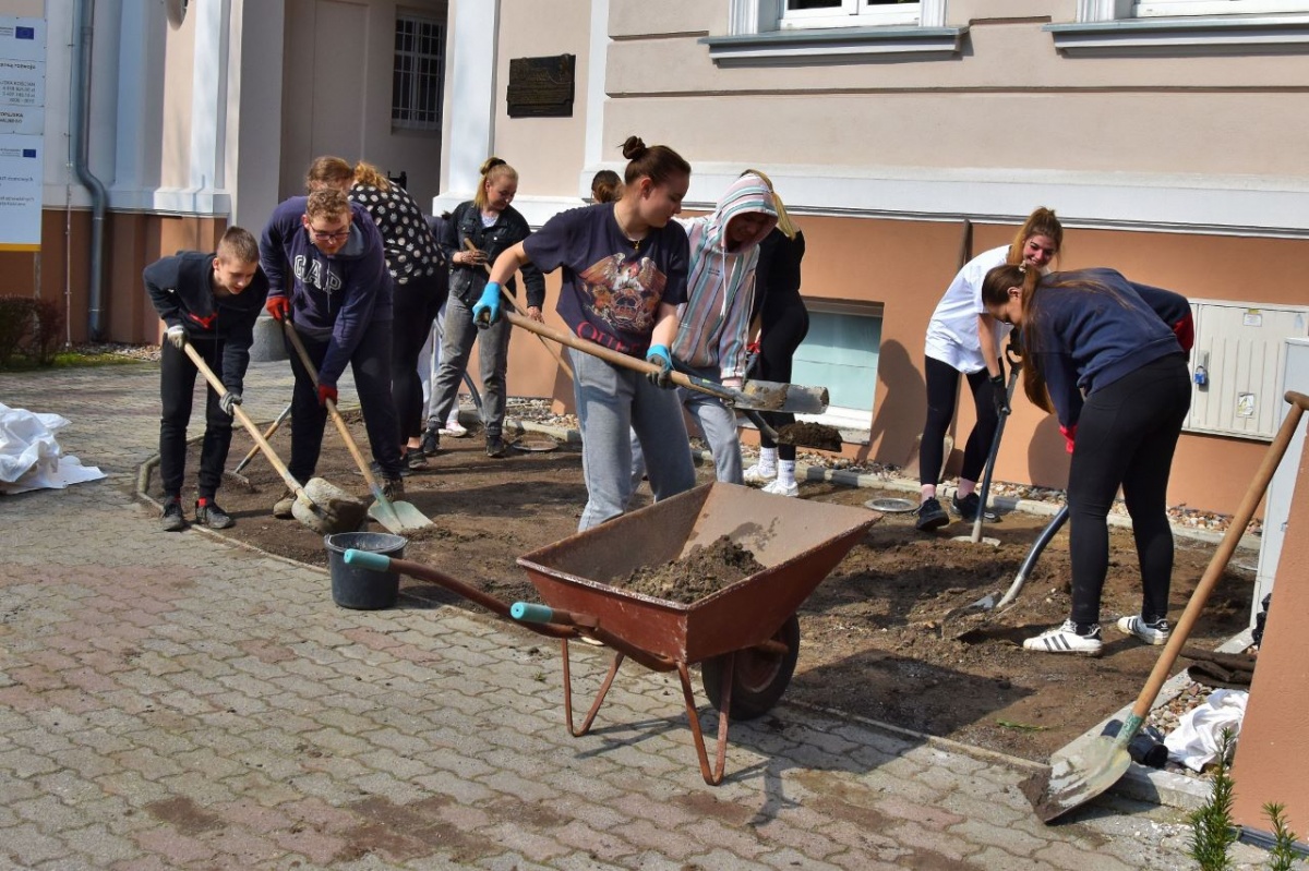 Sadzili rośliny przed budynkiem urzędów [ZDJĘCIA]