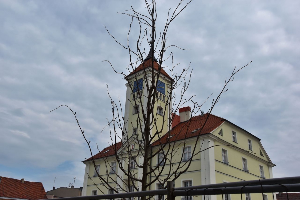 Kontroli Rynku nie będzie. Na razie...