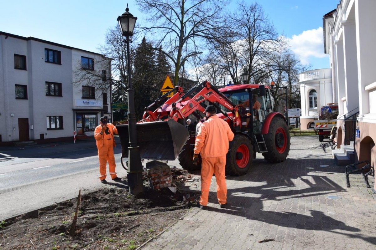 Będzie zielono przed urzedem!