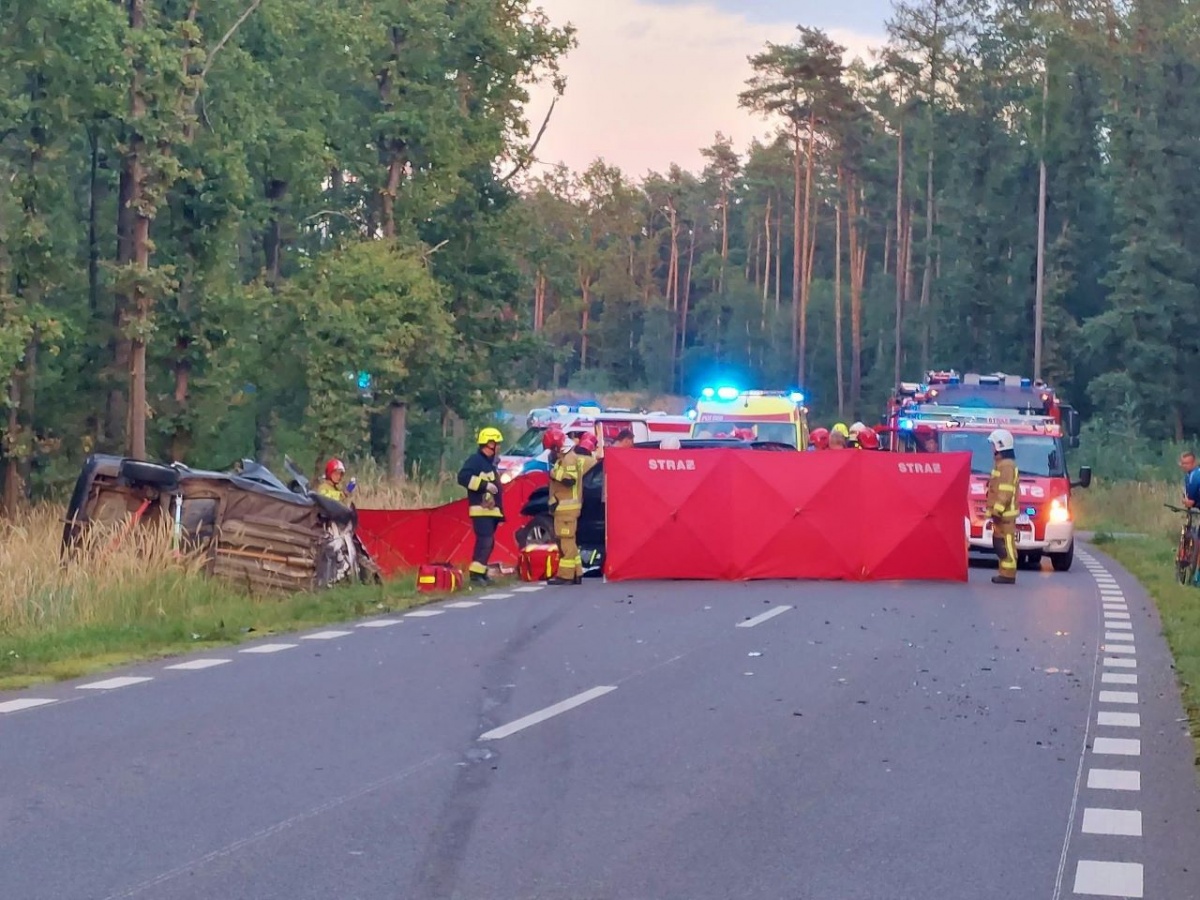 Poważny wypadek! Czołówka przez... zwierzę [ZDJĘCIA]