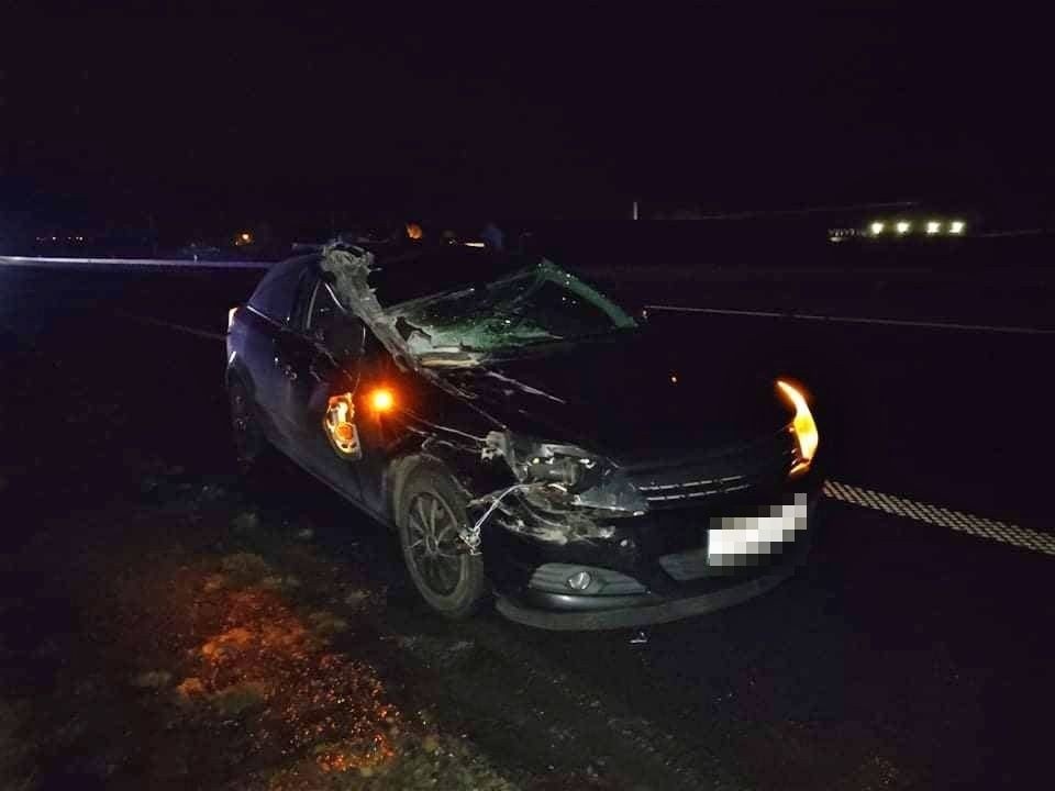 Najechał na tył busa [ZDJĘCIA]