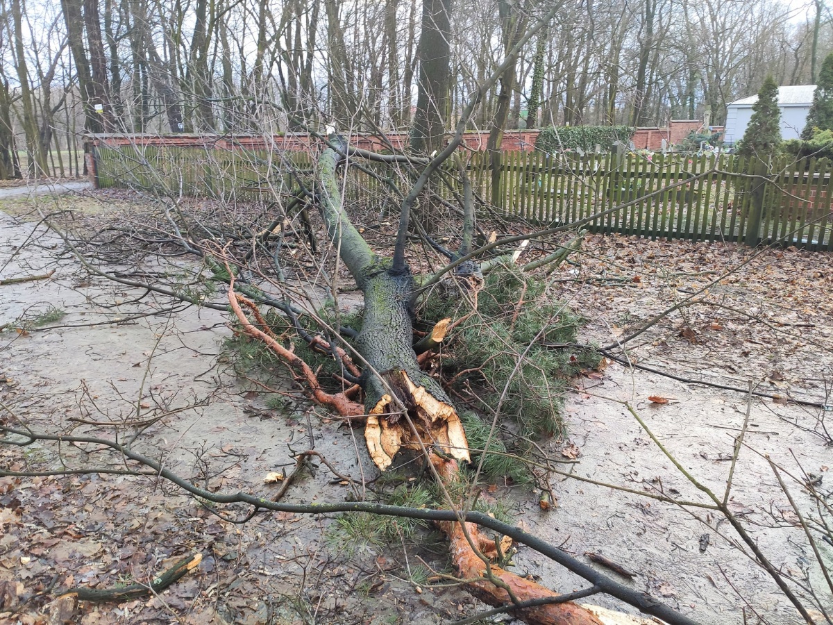 Wichury jednak groźne! 48 wyjazdów do zdarzeń