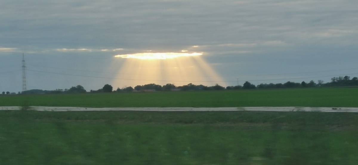 Natura w Twoim mieście - rozstrzygnięcie konkursu!