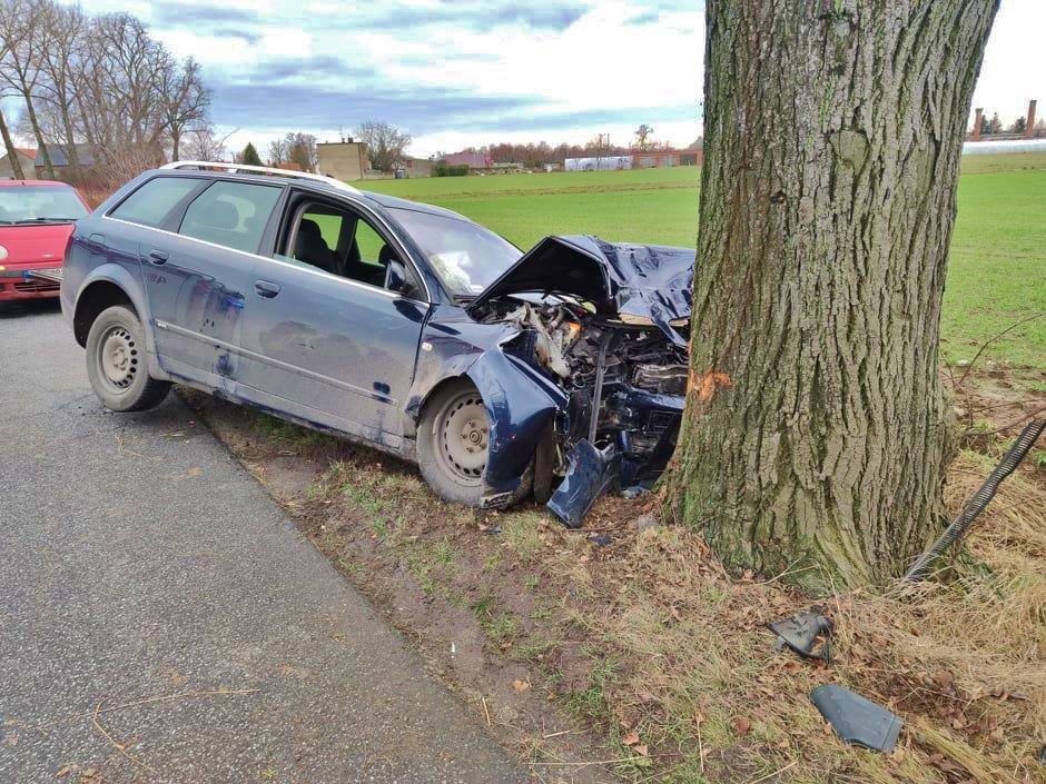 Wjechał w drzewo. Trafił do szpitala [ZDJĘCIA]