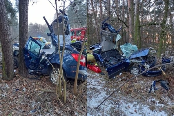 Uderzył w drzewo na granicy powiatów [ZDJĘCIA]