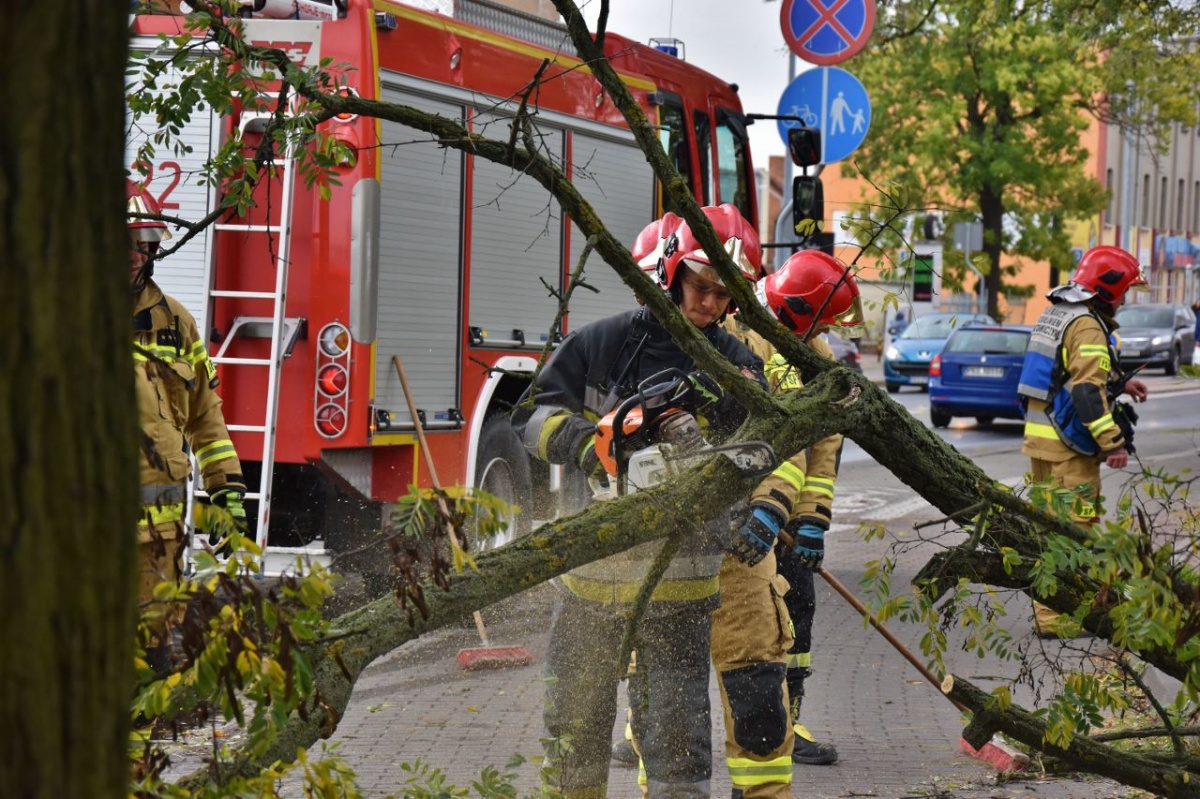 Wichury! Przewrócone drzewo przy rondzie! [ZDJĘCIA]