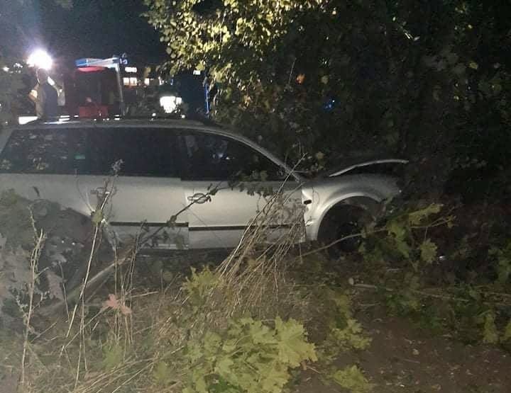 Uderzył w drzewo uciekając przed zwierzęciem