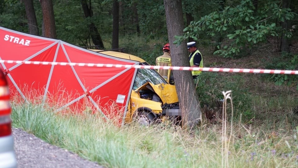 Tragiczny wypadek. Droga Osieczna - Leszno zablokowana! [ZDJĘCIA]