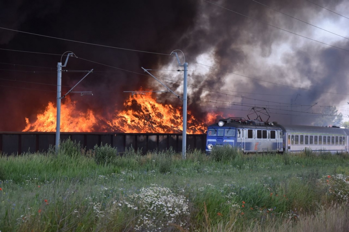 Pożar w Przysiece Polskiej. Po raz kolejny [ZDJĘCIA, FILM]