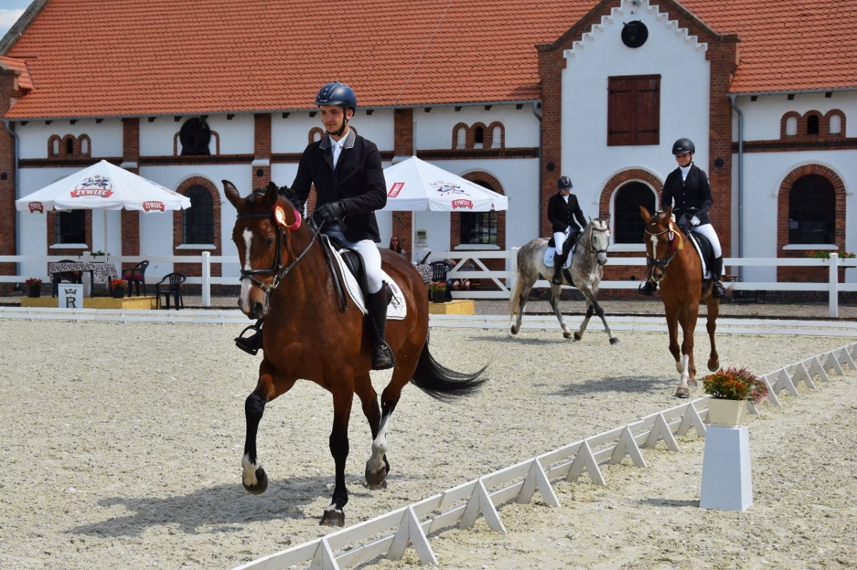 Zawody w ujeżdżeniu w Racocie [ZDJĘCIA]