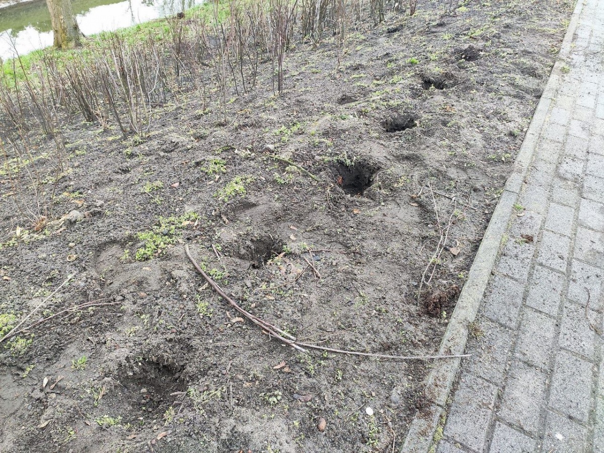 Młodzi wandale zatrzymani. Nie pozostaną bezkarni!
