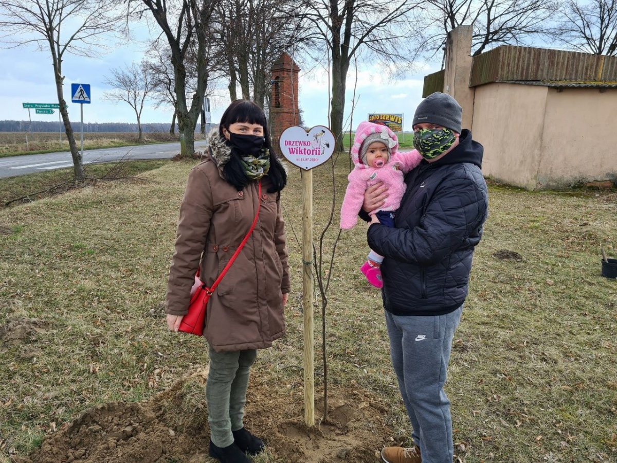Drzewko życia dla 86 dzieci z gminy Śmigiel [ZDJĘCIA]