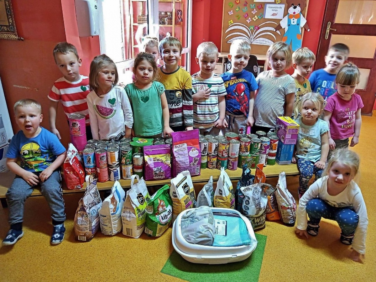 Zbiórka karmy dla kotów w Misiu Uszatku [ZDJĘCIA]