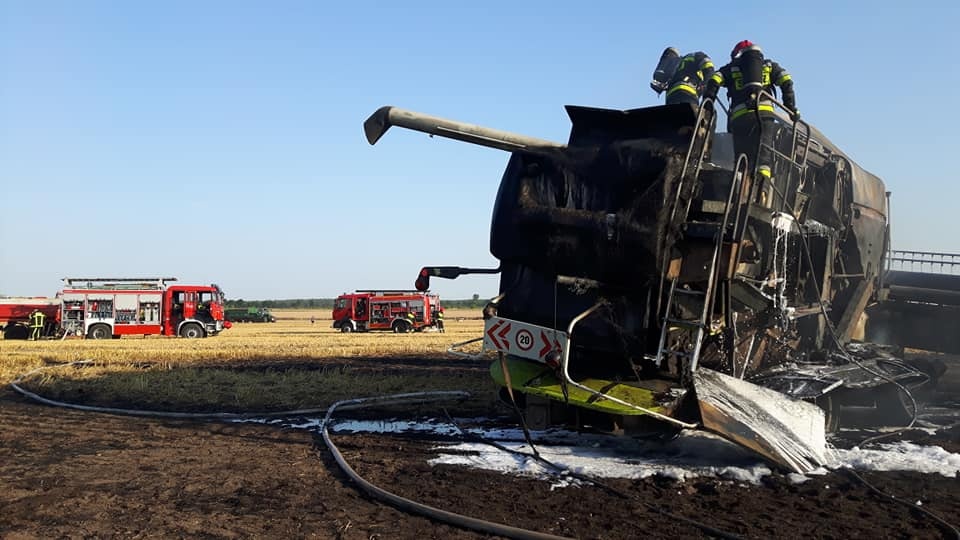 Spłonęło 20 hektarów zboża i kombajn [ZDJĘCIA]