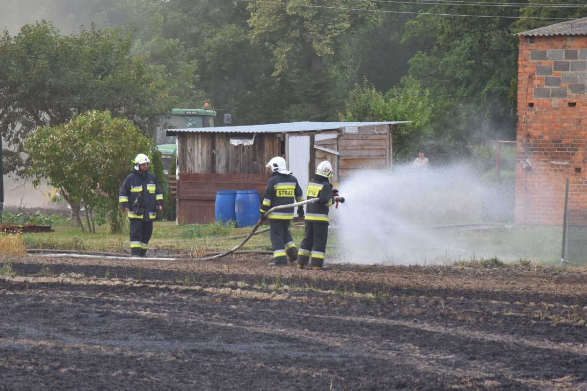 Pożar zboża na pniu w Piotrkowicach [ZDJĘCIA]