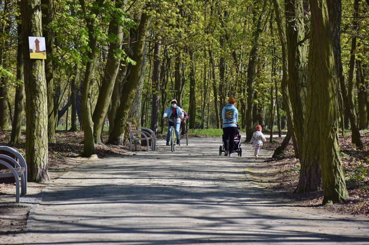 Otwarte parki i lasy. W Kościanie bez tłumów [ZDJĘCIA]