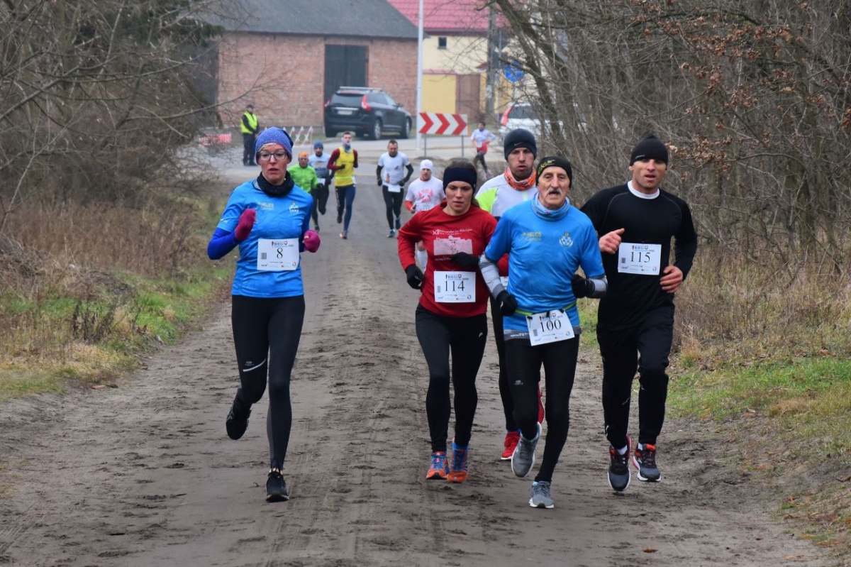Drugi etap Powstańczych Biegów Przełajowych [ZDJĘCIE]