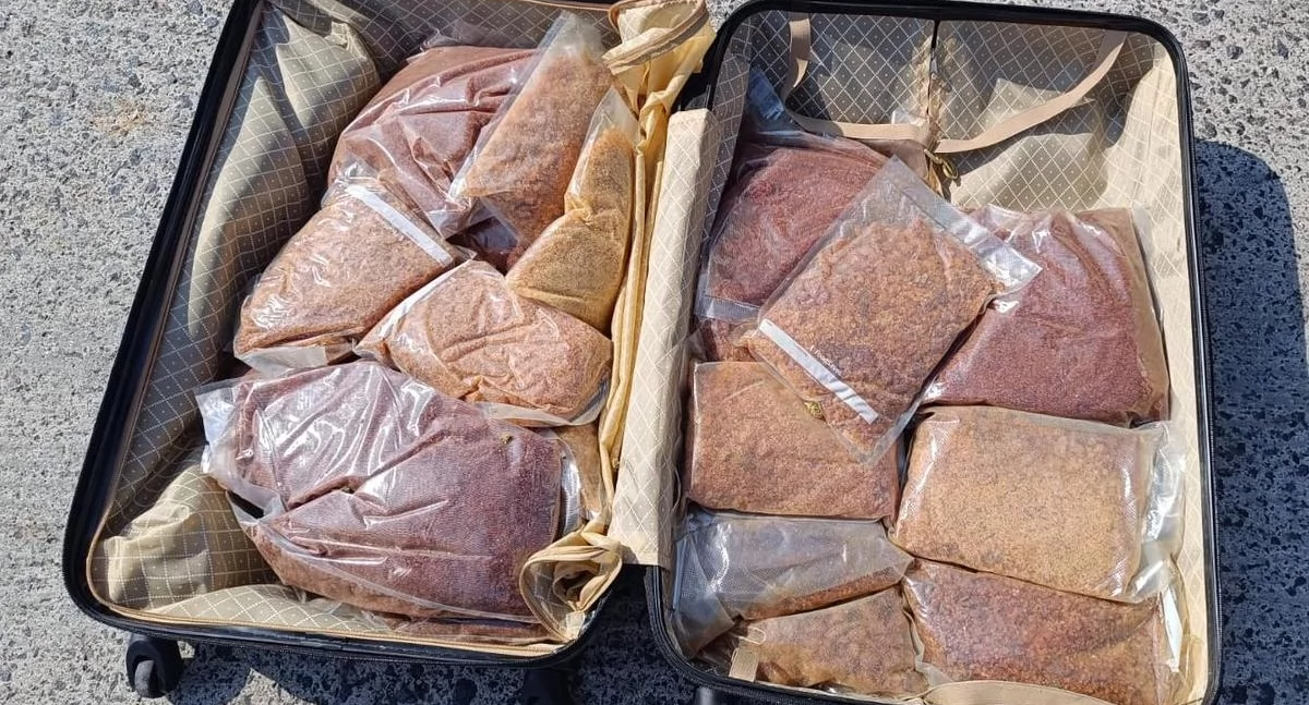 Zabezpieczono ponad 300 kilogramów narkotyków [ZDJĘCIA]