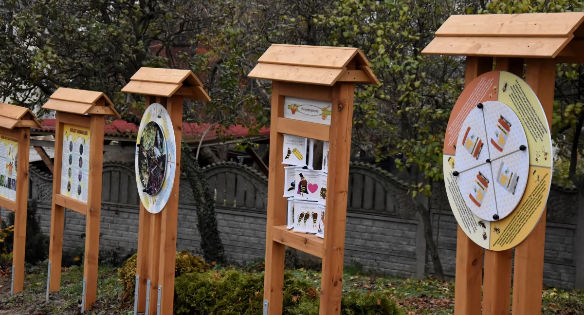 Pasieka edukacyjna w Starym Bojanowie [ZDJĘCIA]