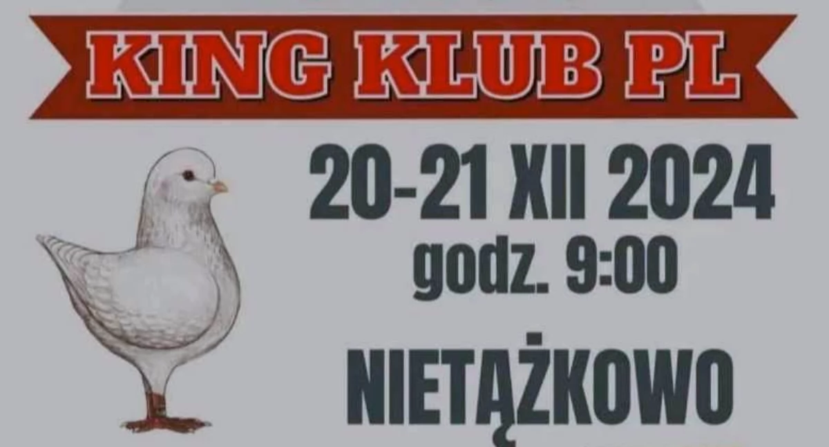 Jubileuszowa wystawa gołębi z okazji 10-lecia King Klub Pl w piątek i sobotę!