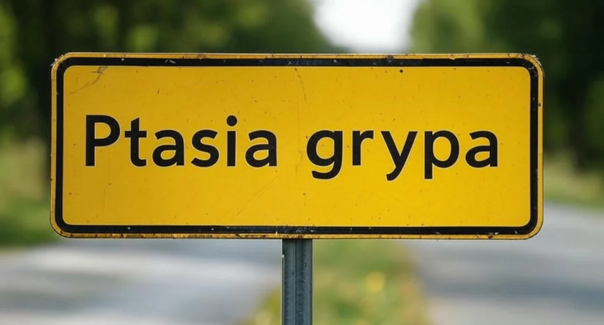 Ptasia grypa - obostrzenia w gminie Czempiń i gminie Kościan