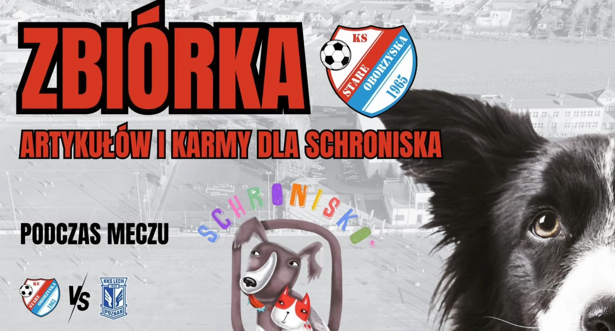 Mecz i zbiórka dla zwierząt ze schroniska!
