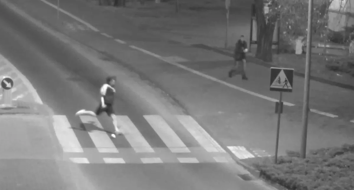 Wandale zgłosili się do urzędu. Wyrazili skruchę