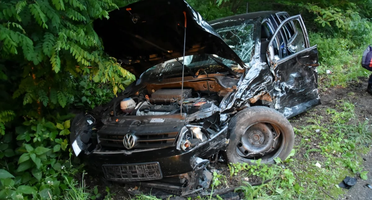 Wypadek na drodze Gryżyna - Nowy Dębiec [ZDJĘCIA]