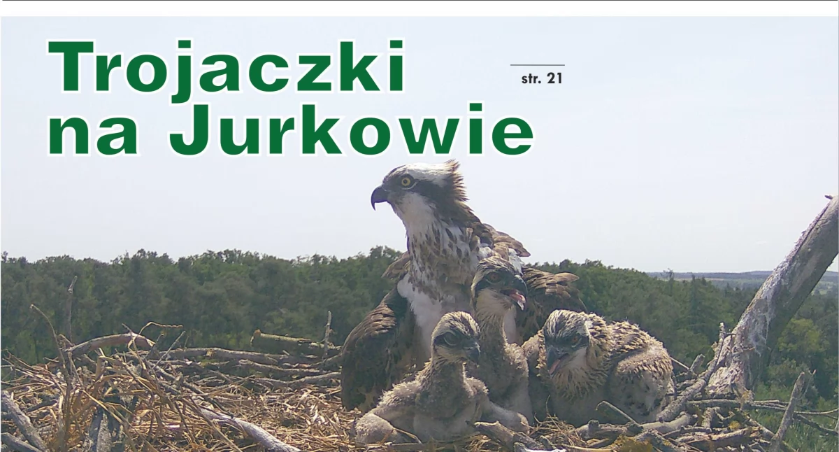 Nowy numer Gazety Kościańskiej - 16 lipca 2025